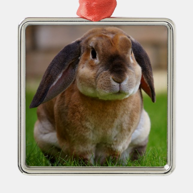 Velveteen Lop Bunny Rabbit Julgransprydnad Metall (Framsidan)