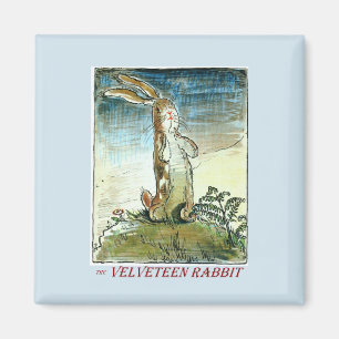 Velveteen Rabbit Magnet