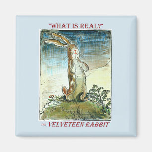 Velveteen Rabbit Magnet