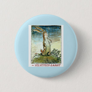 Velveteenkaninen knäppas knapp