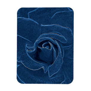 velvety Blue ro Magnet