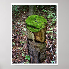 Velvety Grönt Moss Poster