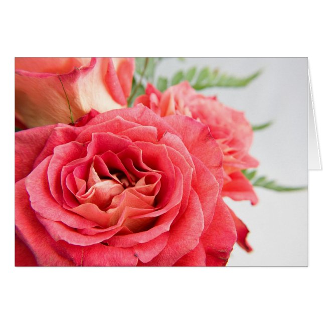Velvety Rosa ros Hälsningskort (Framsidan Horizontal)