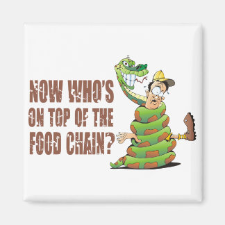 Vem är bäst i näringskedjan? magnet