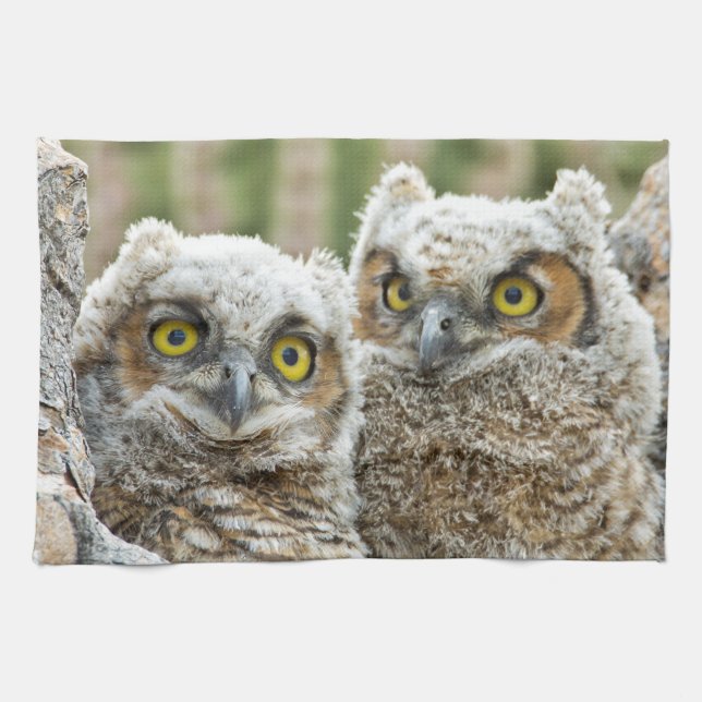 Vem är där, Pair of Uggla? Kökshandduk (Horisontell)