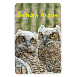 Vem är där? Pair of Uggla Scottsdale, Arizona Magnet