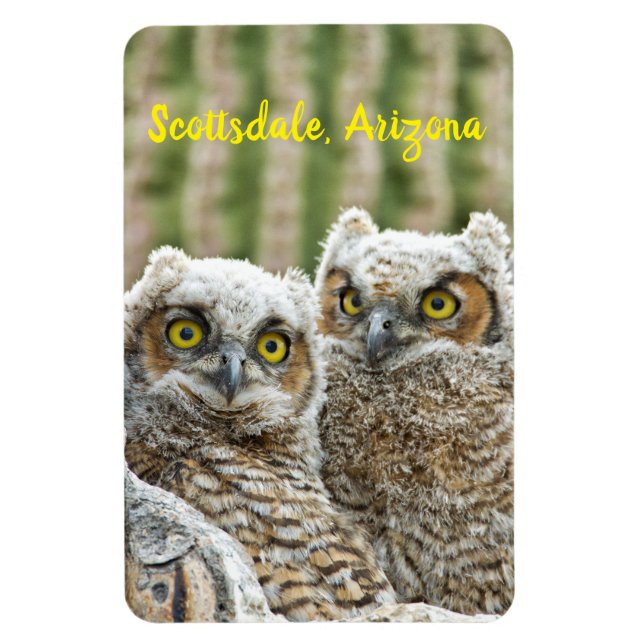 Vem är där? Pair of Uggla Scottsdale, Arizona Magnet (Vertikal)