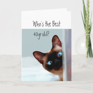 Vem är den bästa 40-åringen? Katt Kattunge Humor Kort