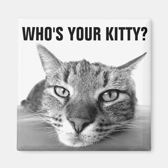 Vem är din kattunge? Magnet, Tabby Magnet (Framsidan)