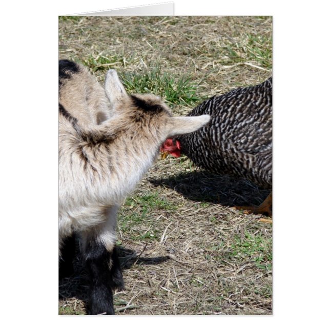 Vem är du? hälsningskort (Framsidan)