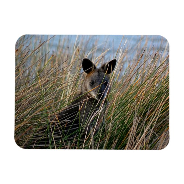 Vem är du? magnet (Horisontell)