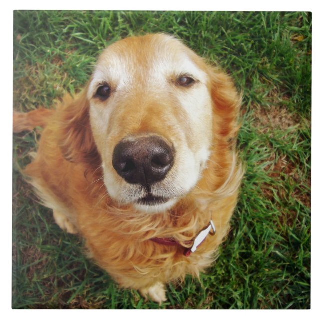 Vem är en Bra Boy? Kakelplatta (Framsidan)