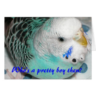 Vem är en söt pojke då? hälsningskort