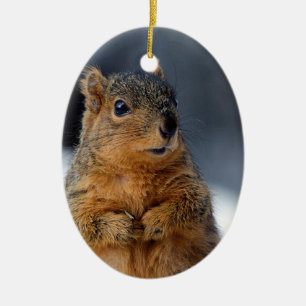 Vem är jag ekorre? julgransprydnad keramik