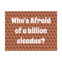Vem är rädd för en miljard Cicadas?