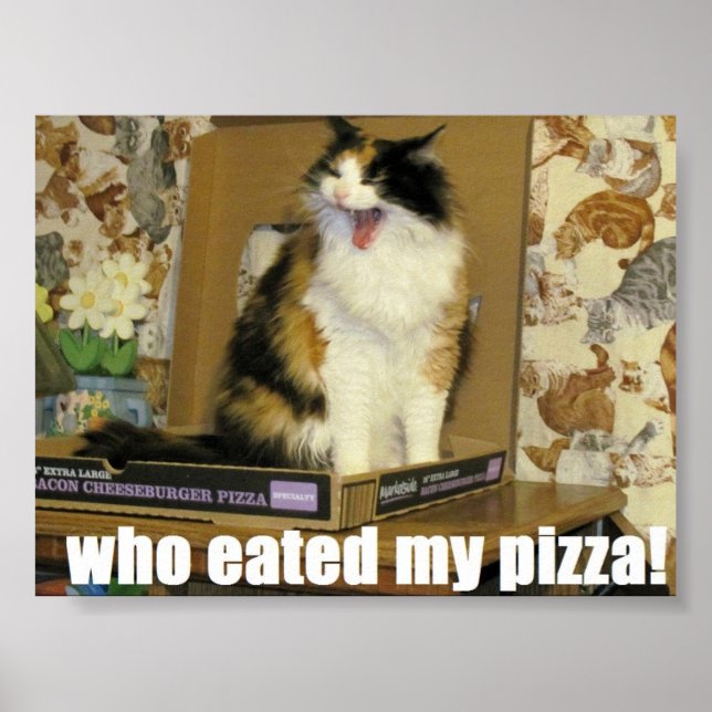 Vem åt min pizza? Funny Kat Meme Poster (Framsidan)