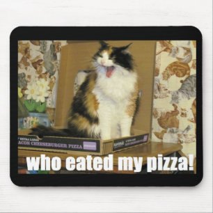 Vem åt min pizza? Screaming Cat Musmatta