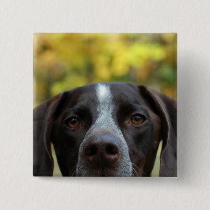 Vem Dat hund? Knapp