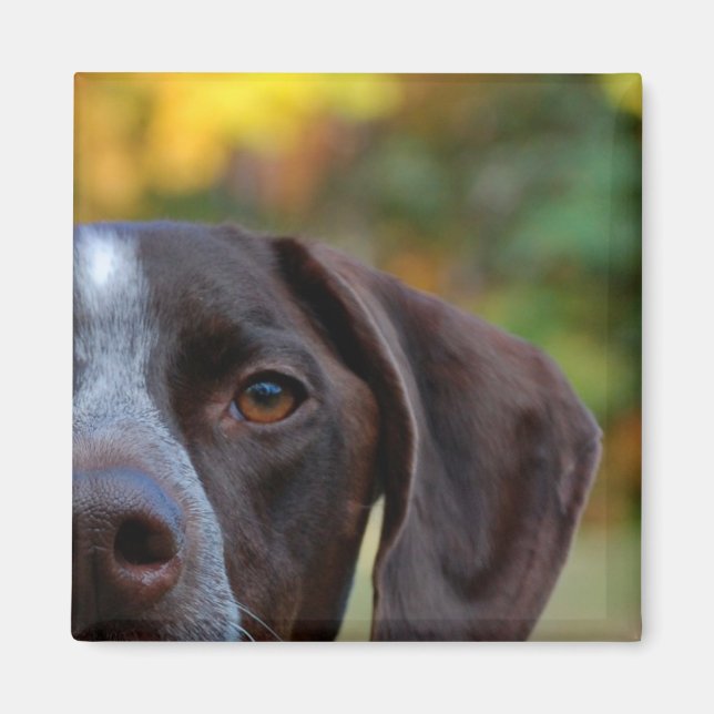 Vem Dat Hund? Magnet (Framsidan)