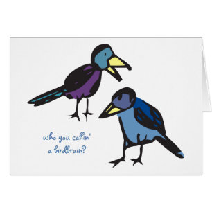vem dig callin en birdbrain? OBS kort