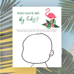 Vem gav mig mitt utseende? - Rosa Flamingo
