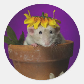 Vem har varit i blommorna? runt klistermärke