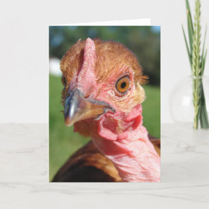 Vem jag? A Turkin Chicken Kort