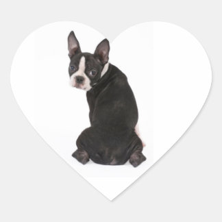 Vem jag Boston Terrier Dog Sticker Hjärtformat Klistermärke