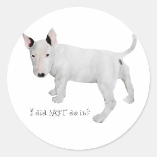 Vem, jag? Bull Terrier Valp Runt Klistermärke
