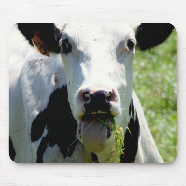 "Vem jag ", Musmatta (Framsidan)