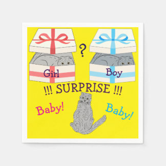 Vem kommer att föda Baby Pappersservett? Pappersservett