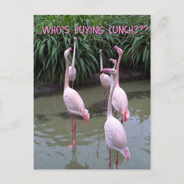 Vem köper lunch? vykort (Framsida)