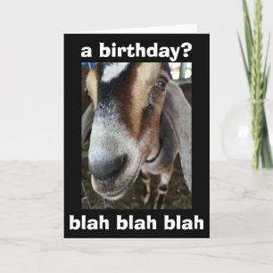 "VEM" KÖR "JAG SÄGER" GOAT SÄGER GRATTIS PÅ FÖDELS KORT