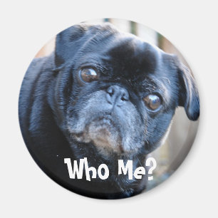 Vem mig? Magnet