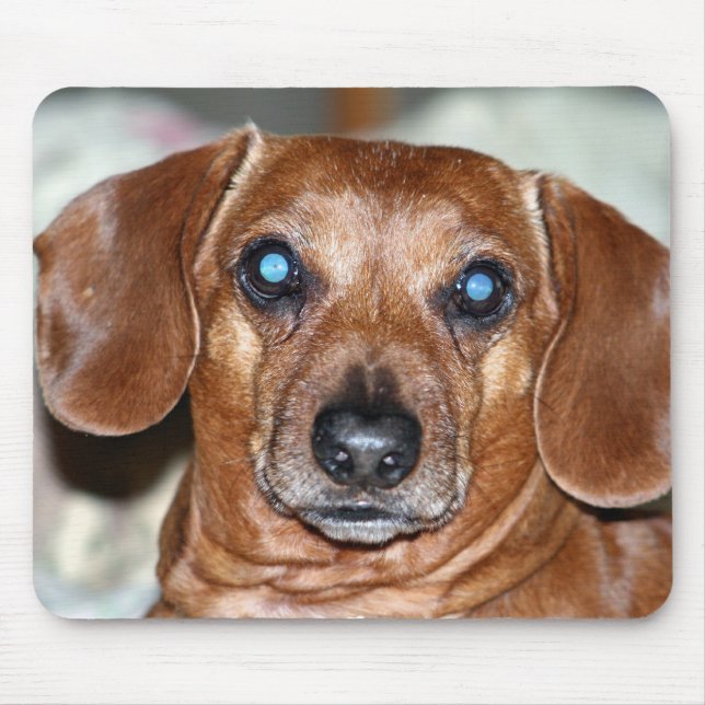 Vem mig musmatta (Framsidan)