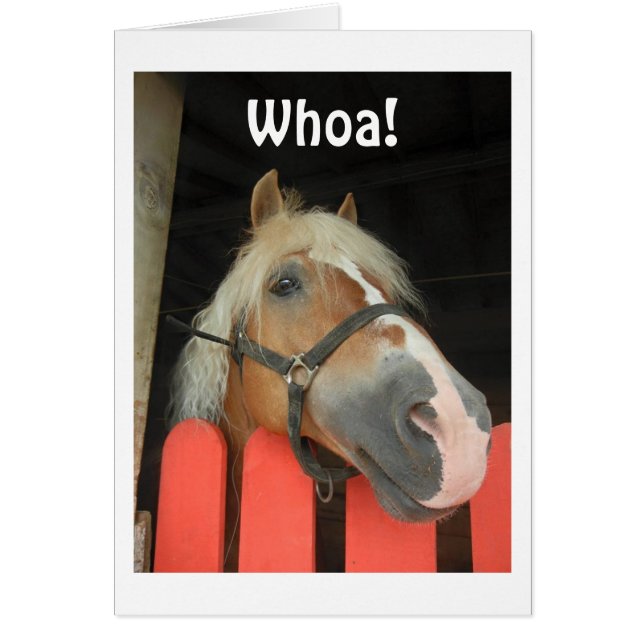 "VEM SÄGER HÄSTRUBRIKEN" FÖR DEN STORA "50" HÄLSNINGSKORT (Framsidan)