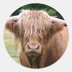 Vem satte ut Ljus-märket Runt Klistermärke