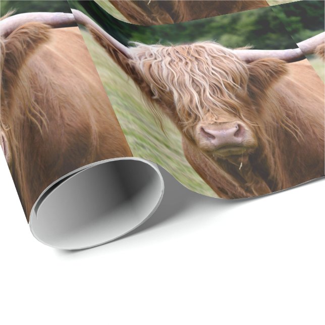Vem Släckte Ljusets Inpackningspapper Presentpapper (Rullad Hörn)