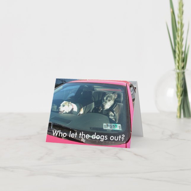 Vem släppte ut hundar? Anteckningskort (Framsida)