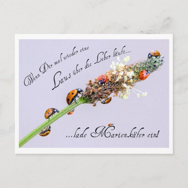 Vem som helst kan använda lite av extra tur! vykort (Framsida)