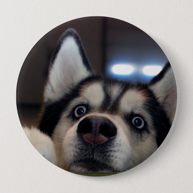 Vem som helst ut där? knapp (Framsida)