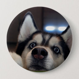 Vem som helst ut där? knapp