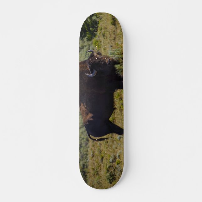 Vem tittar du på old school skateboard bräda 18 cm (Framsida)