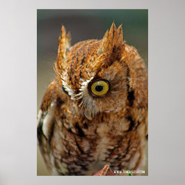 Vem Tittar ner Poster