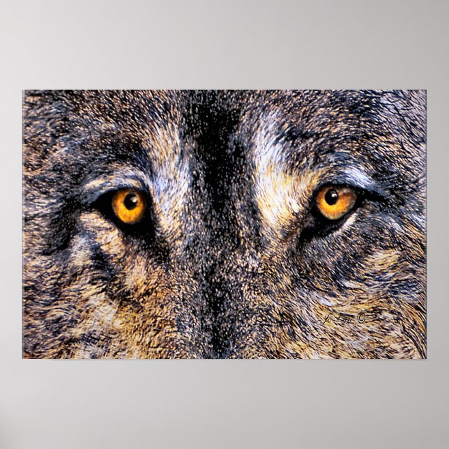 Vem tittar på? poster (Framsidan)