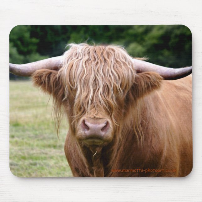 Vem vände ljuset ut Mousemat Musmatta (Framsidan)