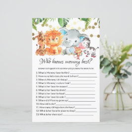 Vem vet mest om mamma Baby Shower Spel