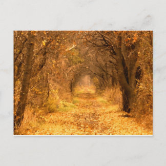 Vem vet vart Väg leder? Vykort