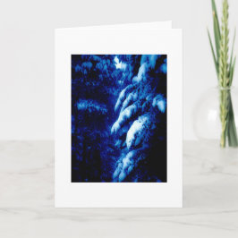 Vems Skogen är det? Jag känner till tänkan..Anteck Helgkort