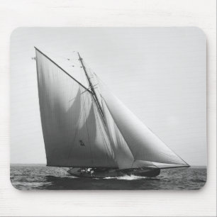 Vencedor: 1897 musmatta